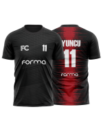 Houston Model - Görsel 2