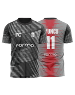 Houston Model - Görsel 3