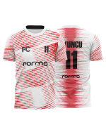 Houston Model - Görsel 4